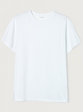 T-Shirt, AV, Fizvalley